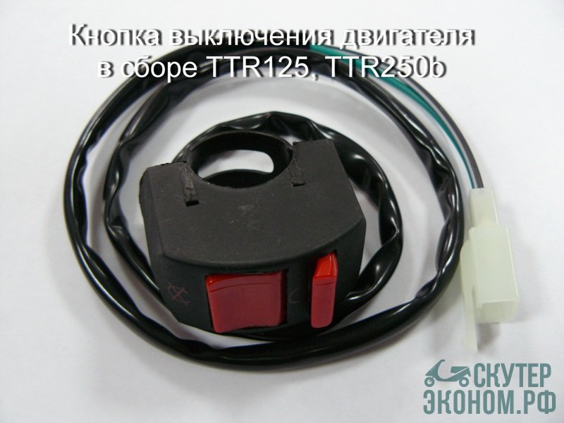 Кнопка выключения двигателя в сборе TTR125, TTR250b